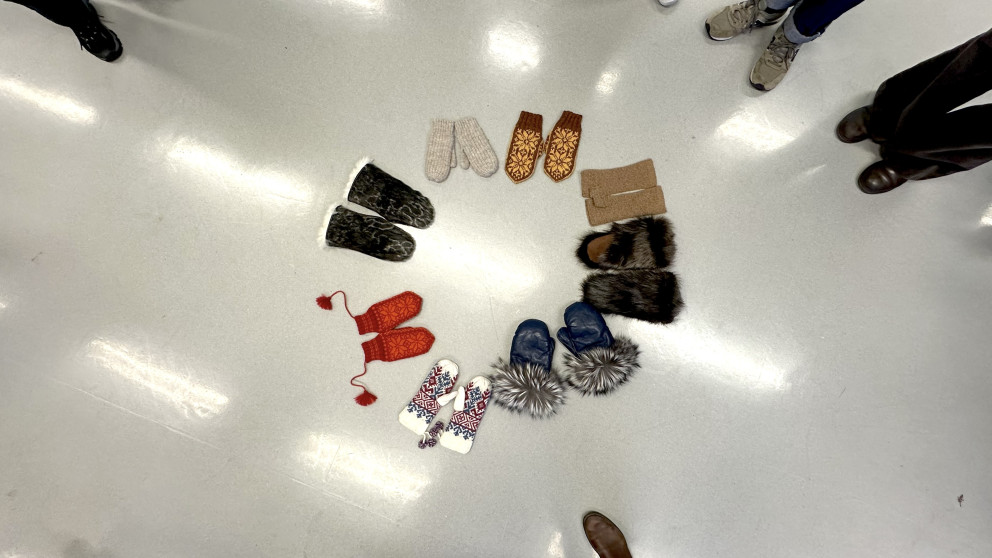 During a WEMA III session, participants were asked to bring a pair of their own mittens to demonstrate, by analogy, the diversity of perspectives and research approaches in the room.