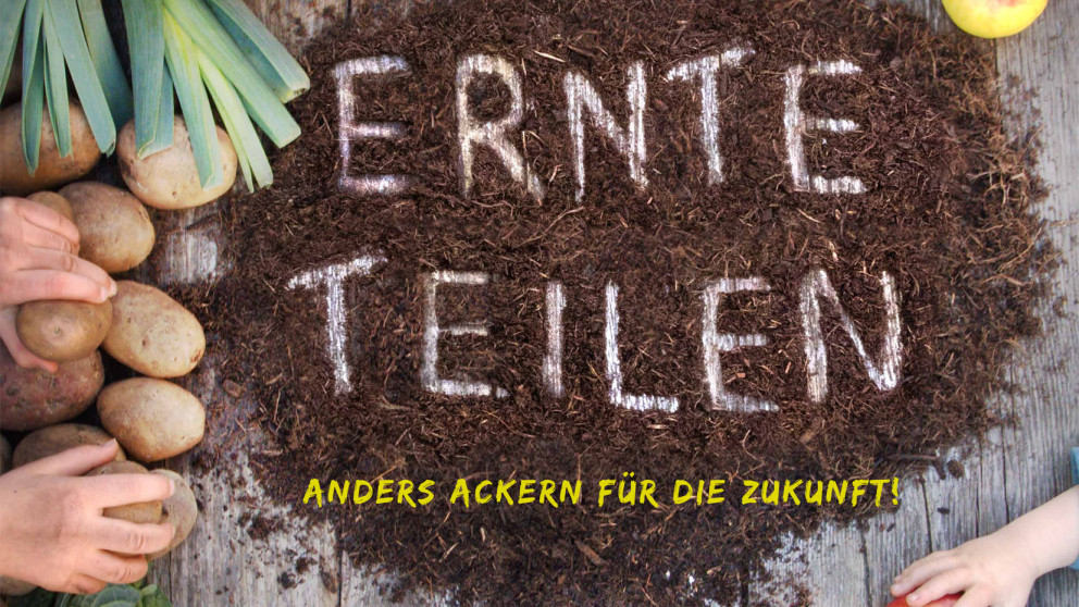 Ernte Teilen